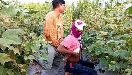 Indian Shemale Movies - Pooja Shemale Bhabhi Cotton Farming Coming and Big Age Boyfriend Ass Lover - Desi Fucking - Hindi Voice