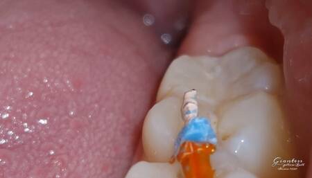 A vore for a punishment