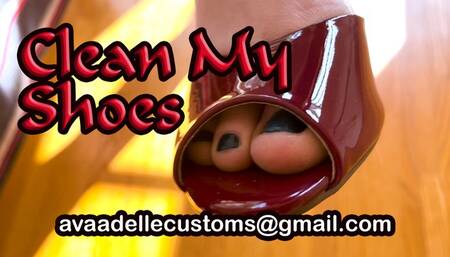 Clean My Shoes