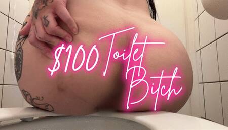 $100 Toilet Bitch