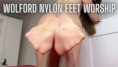 Worship My Wolford Nylon Feet and Cum for Them