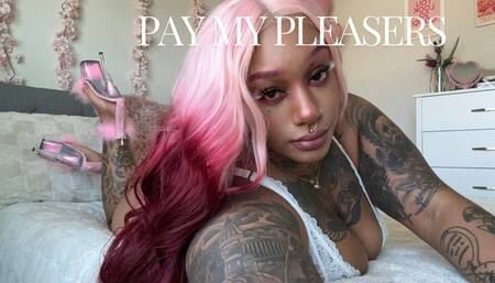 Pay My Pleasers