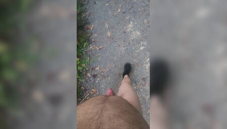 Went for a Nude Walk.