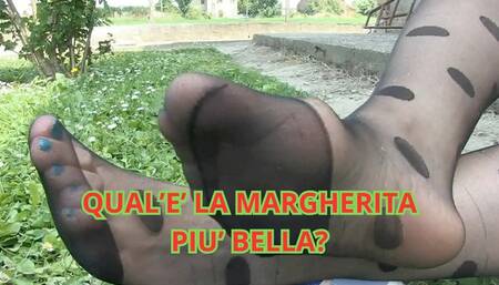 QUAL'E' LA MARGHERITA PIU' BELLA?