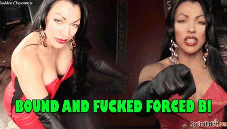 Bound and Fucked Bi
