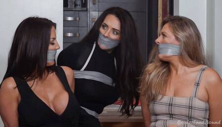 Charlie, Brianna & Brook-Maddison in: Encounter at Nightmare Keep: Baron Landscape's Droids Foil the Meddler but When She Escapes, the Plot Only Thickens!