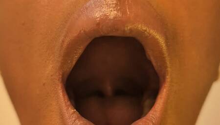ORAL EXAMINATION | Morgan