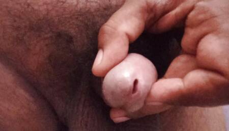 Cock Massage See How Penis Erects