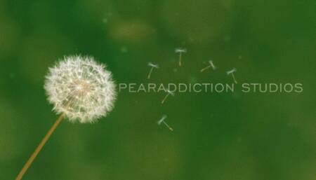 My Jiggly Body Parts