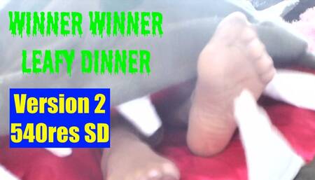 Winner Winner Leafy Dinner - stockings ending 540res SD