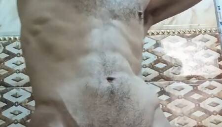 Big Hairy Dick