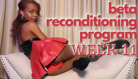 beta Reconditioning Program Part 11 of 12