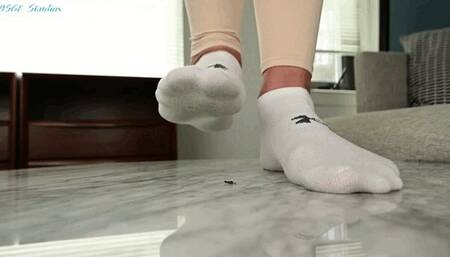 Natasha sweaty socks stomp on a tiny! - MOV