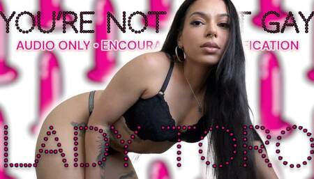 You're Not THAT Gay - Audio Only