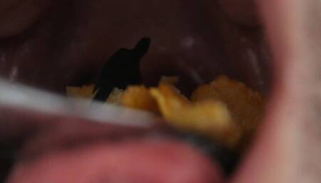 Tiny guys for breakfast