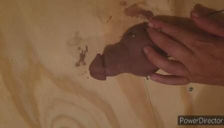 Wife Nails Ball Sack