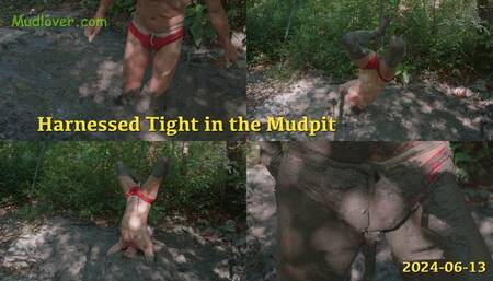 Harnessed Tight in the Mudpit, 2024-06-13