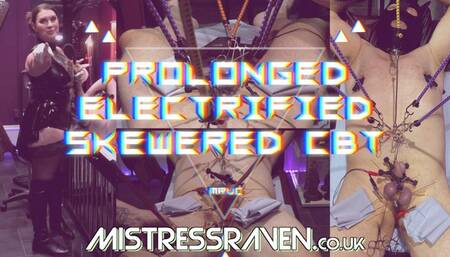 [950] Prolonged Electrified Skewered CBT