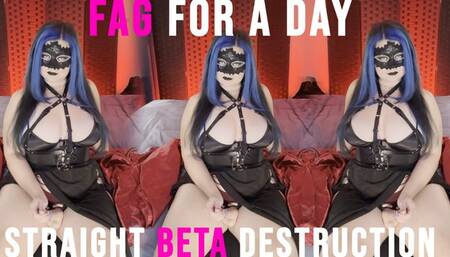 Gay For A Day Straight Beta Destruction