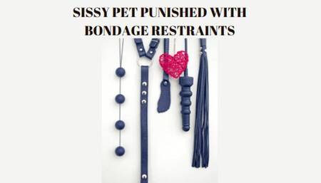 SISSY PET PUNISHED WITH BONDAGE RESTRAINTS + BALLS DRAINED [Sissy Punishment] [Pet Play] [Sissy Pet] [Bondage] [Sissy Bondage] [Sissy Bounded] [Ball Gagged] [Gagged] [Bondage Play] [CBT] [Boundage Restraint]