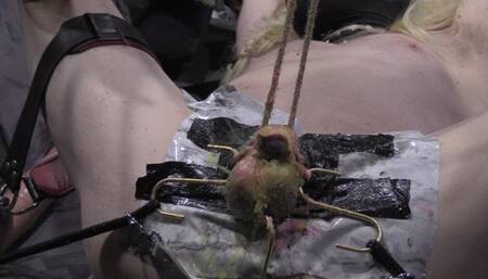 cbt electro play on this micro dick