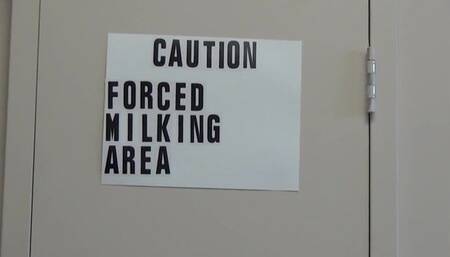 Caution Male Milking Area