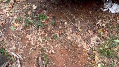 Engine and Exhaust View