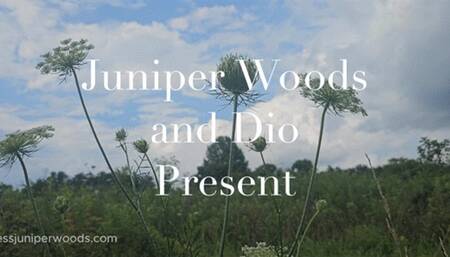 Summer Solstice fantasy (26 minutes)