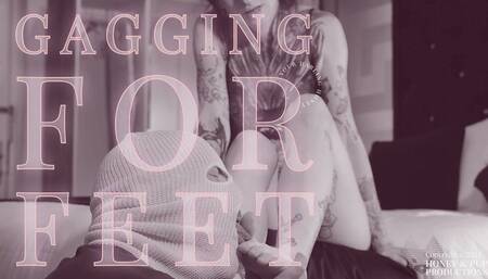 Mistress' Dirty Feet Are My Purpose