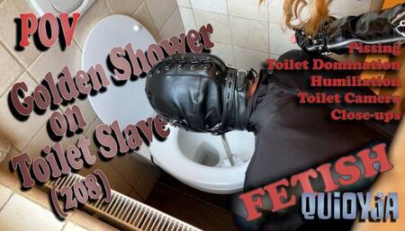 Golden Shower on Toilet Slave POV