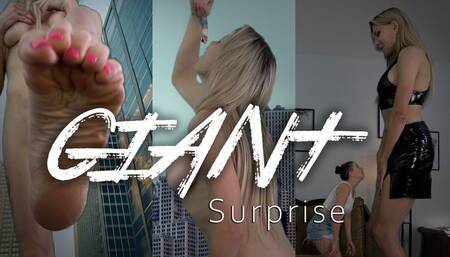 Giant Surprise