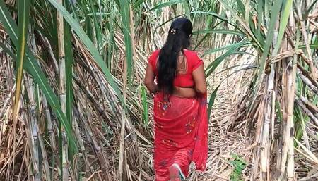 My Step Mom in Sugarcane Farming
