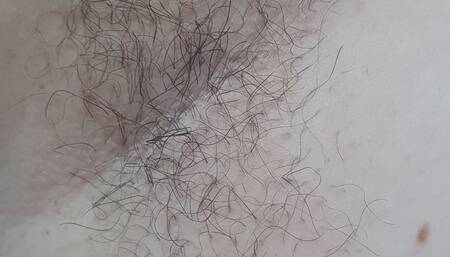 Hairy Armpit Show
