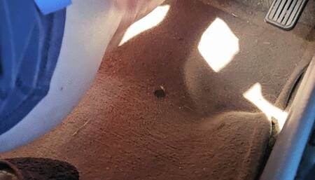 Driving Goosing my Engine Barefoot