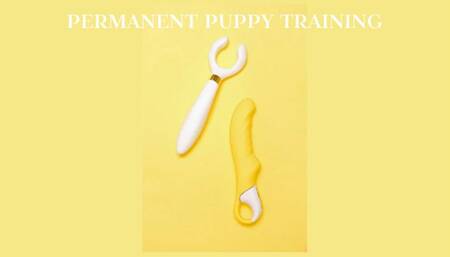 INSTANT PERMANENT PUPPY TRAINING - PET PLAY II [Puppy] [Pup Play] [Human Pup Fantasy] [Pet Play] [Pet Transformation] [Puppy Play] [Pet Puppy Fantasy]