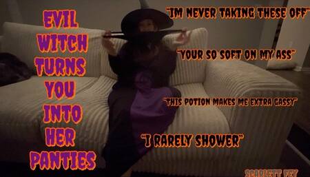 Evil Witch Has Turned Your Into Her Dirty Panties