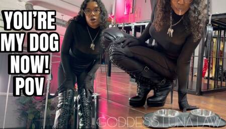 You're My pet now- FEMDOM POV