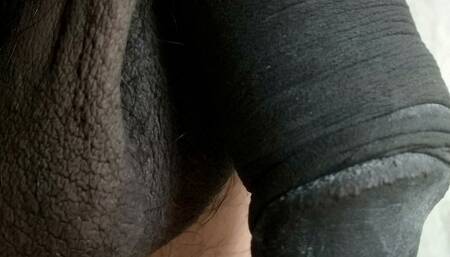 Playing with My Cock on Monday