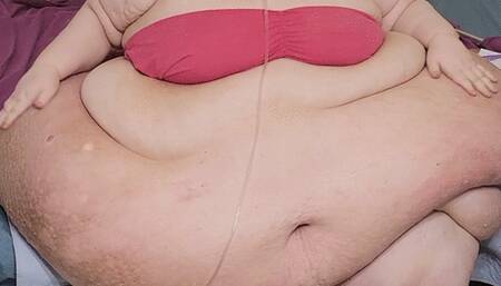 Blubberlicious Measurements