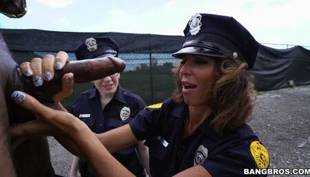 You Don’t Fuck The Law