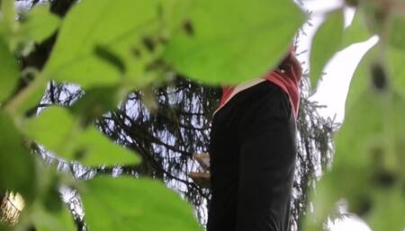 Lost in the Garden's Arteries 720HD