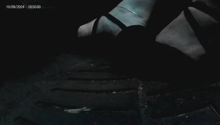 Red light, Green light