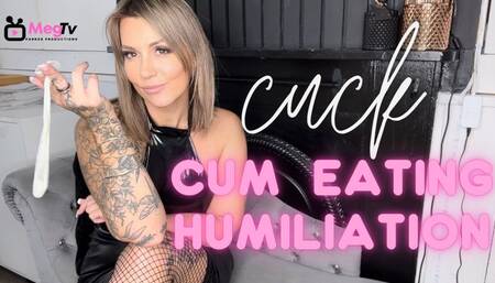 cuck cum eating humiliation