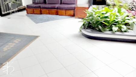 KF-AE Strict Bullwhip Punishment by Ama K