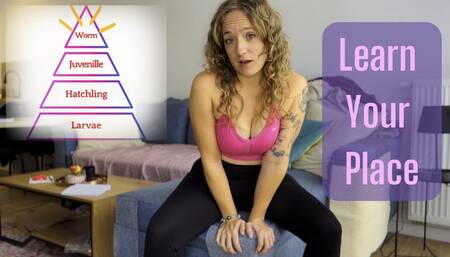 Learn Your Place in My Worm Hierarchy