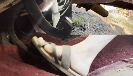 Another new angle today! I love PEDAL TIME!