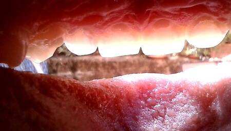 In and out mouth tour in natural light