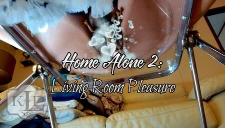 Home Alone 2: Living Room Pleasure