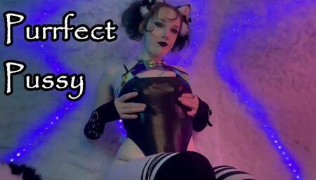 Purrfect Pussy