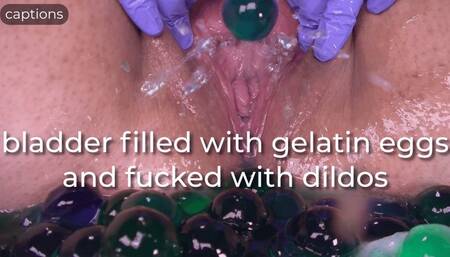 bladder filled with gelatin eggs and fucked with dildos - captioned
